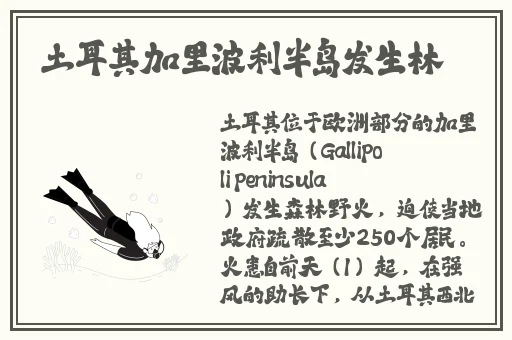 私人imax情侣音频
